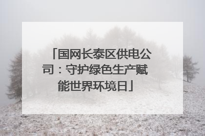国网长泰区供电公司：守护绿色生产赋能世界环境日