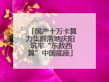 国产十万卡算力集群落地庆阳 筑牢“东数西算”中国底座