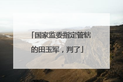国家监委指定管辖的田玉军，判了