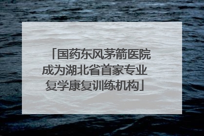 国药东风茅箭医院成为湖北省首家专业复学康复训练机构