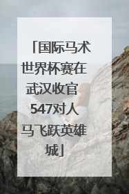 国际马术世界杯赛在武汉收官 547对人马飞跃英雄城