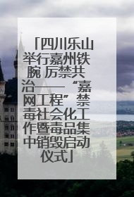 四川乐山举行嘉州铁腕 厉禁共治——“嘉网工程”禁毒社会化工作暨毒品集中销毁启动仪式