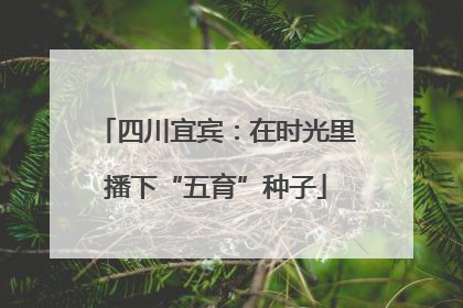 四川宜宾：在时光里播下“五育”种子