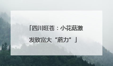 四川旺苍：小花菇激发致富大“蘑力”