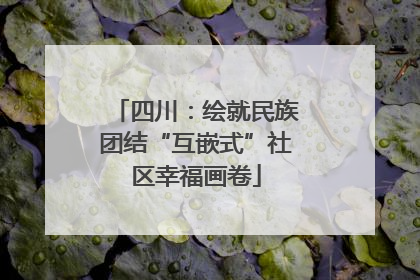 四川：绘就民族团结“互嵌式”社区幸福画卷