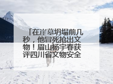 在崖墓坍塌前几秒，他冒死抢出文物！眉山杨宇春获评四川省文物安全守护者