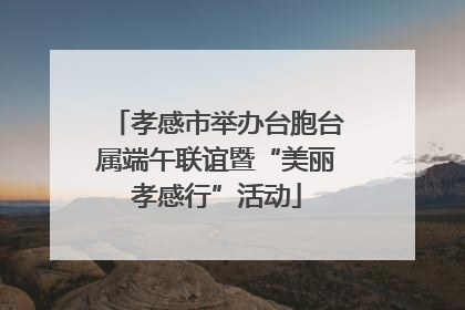 孝感市举办台胞台属端午联谊暨“美丽孝感行”活动