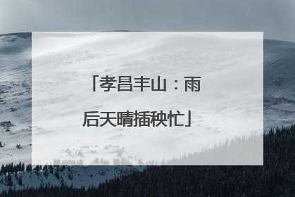 孝昌丰山：雨后天晴插秧忙