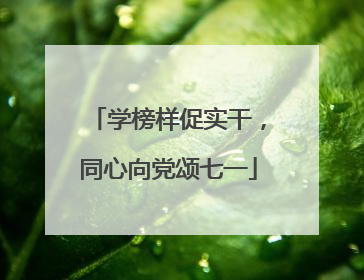 学榜样促实干，同心向党颂七一