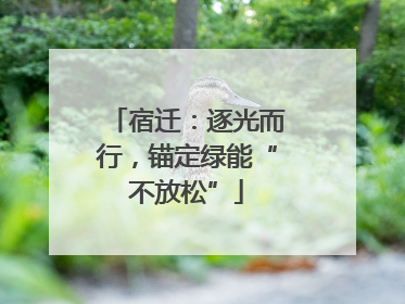 宿迁：逐光而行，锚定绿能“不放松”