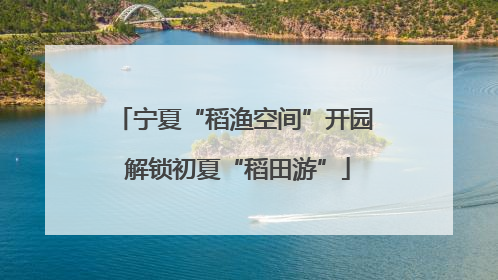 宁夏“稻渔空间”开园 解锁初夏“稻田游”