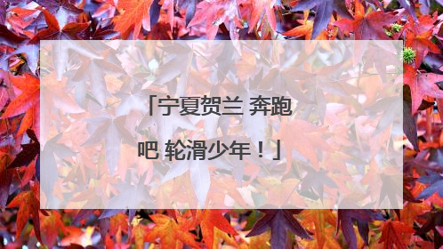 宁夏贺兰 奔跑吧 轮滑少年！