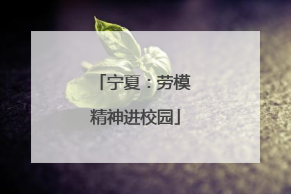 宁夏：劳模精神进校园
