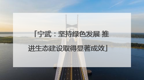宁武：坚持绿色发展 推进生态建设取得显著成效