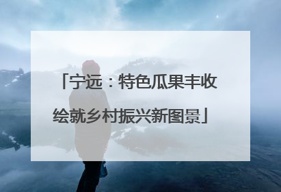 宁远：特色瓜果丰收绘就乡村振兴新图景