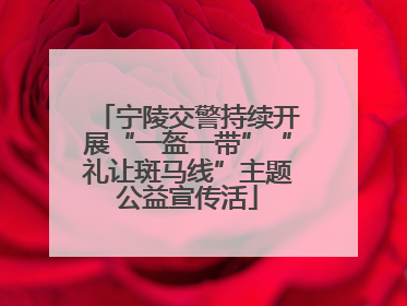 宁陵交警持续开展“一盔一带”“礼让斑马线”主题公益宣传活