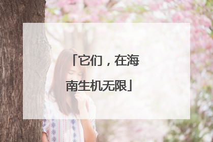 它们，在海南生机无限