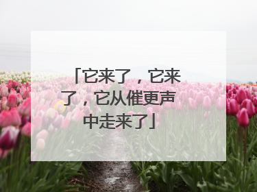 它来了，它来了，它从催更声中走来了