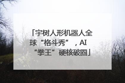 宇树人形机器人全球“格斗秀”，AI“拳王”硬核破圈