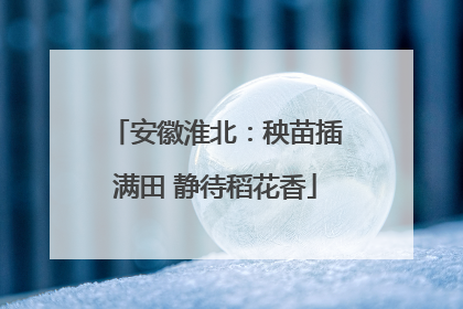 安徽淮北：秧苗插满田 静待稻花香