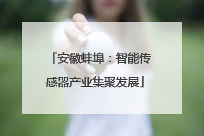 安徽蚌埠：智能传感器产业集聚发展
