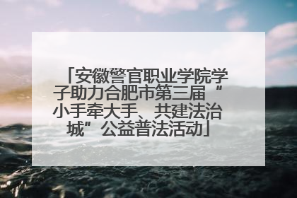 安徽警官职业学院学子助力合肥市第三届“小手牵大手、共建法治城”公益普法活动