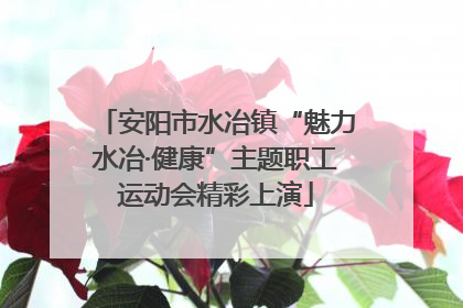安阳市水冶镇“魅力水冶·健康”主题职工运动会精彩上演
