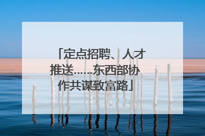 定点招聘、人才推送……东西部协作共谋致富路