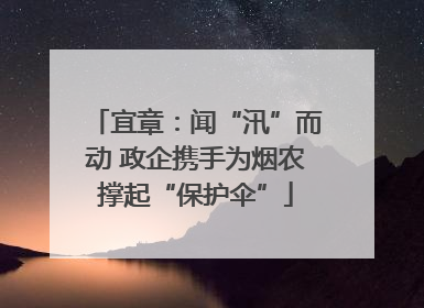 宜章：闻“汛”而动 政企携手为烟农撑起“保护伞”