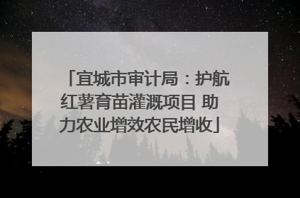 宜城市审计局：护航红薯育苗灌溉项目 助力农业增效农民增收