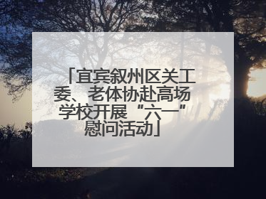 宜宾叙州区关工委、老体协赴高场学校开展“六一”慰问活动