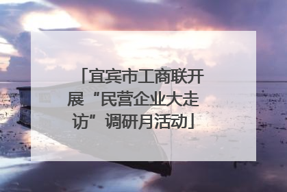 宜宾市工商联开展“民营企业大走访”调研月活动