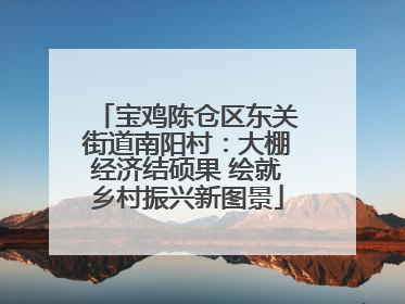 宝鸡陈仓区东关街道南阳村：大棚经济结硕果 绘就乡村振兴新图景