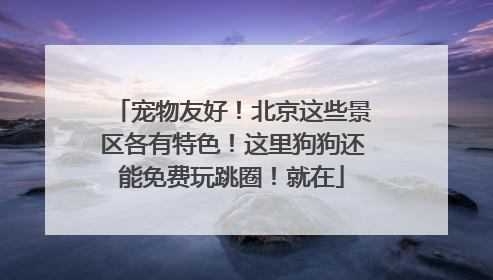 宠物友好！北京这些景区各有特色！这里狗狗还能免费玩跳圈！就在