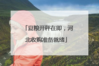 夏粮开秤在即，河北收购准备就绪