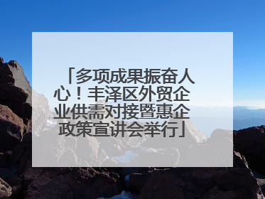多项成果振奋人心！丰泽区外贸企业供需对接暨惠企政策宣讲会举行