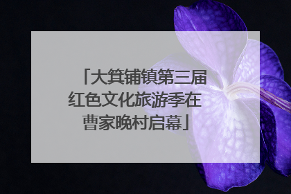 大箕铺镇第三届红色文化旅游季在曹家晚村启幕