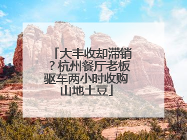 大丰收却滞销？杭州餐厅老板驱车两小时收购山地土豆