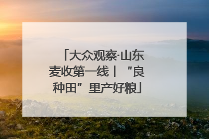大众观察·山东麦收第一线丨“良种田”里产好粮