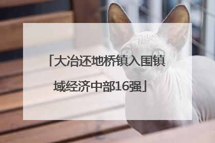大冶还地桥镇入围镇域经济中部16强