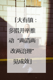 大有镇：多措并举推动“两清两改两治理”见成效