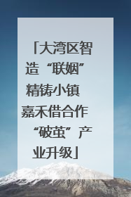 大湾区智造“联姻”精铸小镇 嘉禾借合作“破茧”产业升级