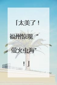 太美了！福州惊现“萤火虫海”！
