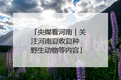 央媒看河南｜关注河南夏收夏种 野生动物等内容