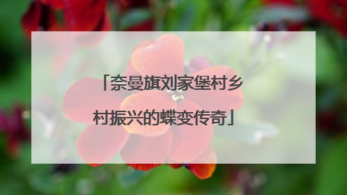 奈曼旗刘家堡村乡村振兴的蝶变传奇