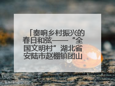 奏响乡村振兴的春日和弦——“全国文明村”湖北省安陆市赵棚镇团山村农文旅融合发展见闻
