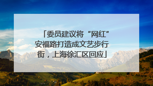 委员建议将“网红”安福路打造成文艺步行街，上海徐汇区回应