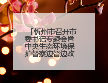 忻州市召开市委书记专题会暨中央生态环境保护督察边督边改工作推进会
