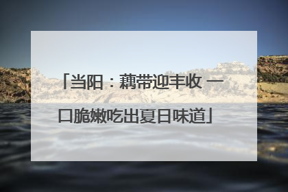 当阳：藕带迎丰收 一口脆嫩吃出夏日味道