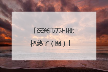 德兴市万村枇杷熟了（图）